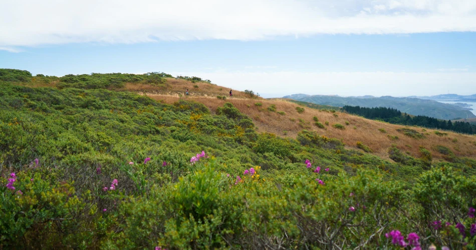 10 Best Day Trips from San Francisco