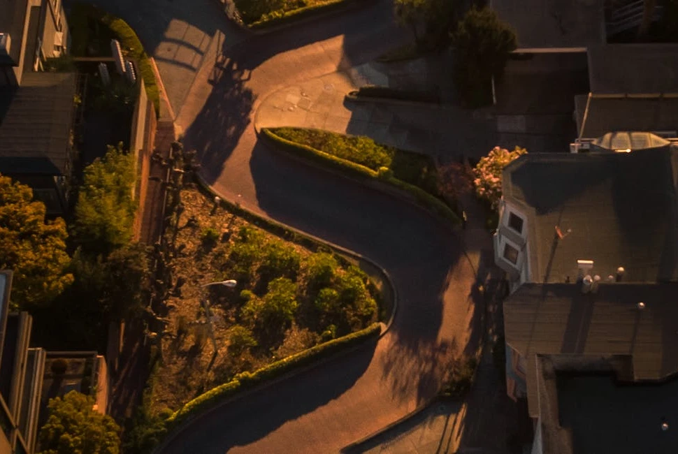 Beyond the City: Epic Road Trips from San Francisco to Discover California's Beauty